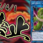 【#遊戯王】アナコンダ禁止…！！登場以降数多のカードを救い”過ぎた”その歴史を紹介【琴葉姉妹のカード解説】