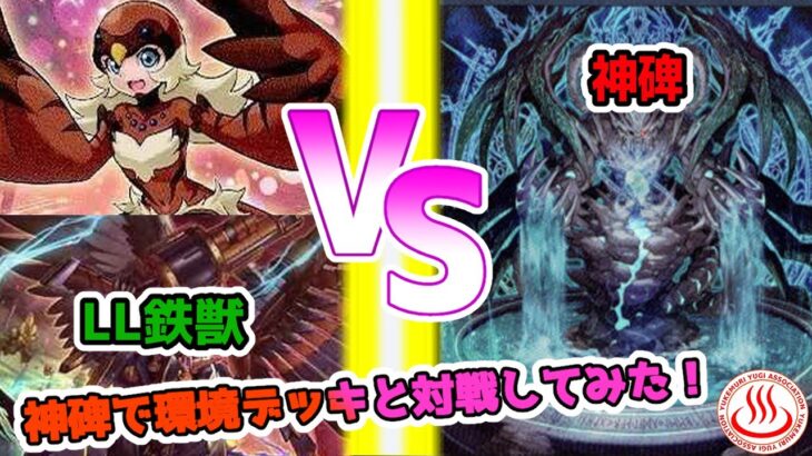 【遊戯王】神碑で大会は勝ち抜ける！？　環境デッキとデュエル！【対戦動画】