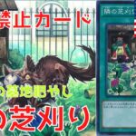 【遊戯王】海外禁止カード　隣の芝刈りはなぜ規制を受けたのか　規制理由解説