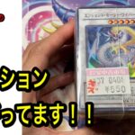 【遊戯王】おかわりしたくなるほど優良なブロックオリパ！！！