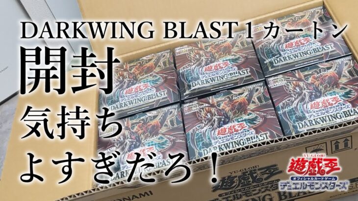 【遊戯王】新弾 DARKWING BLAST 1カートン開封してみた【開封】