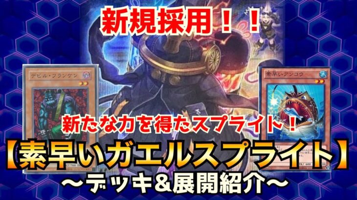 【遊戯王】新たな力を得たスプライト！素早いガエルスプライト【デッキ&展開紹介】