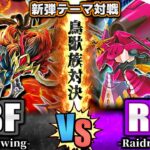 【#遊戯王】クロウvs黒咲！究極の鳥獣対決！『BF』vs『RR』新弾テーマ対戦【#ガチネタ】#DABL-01