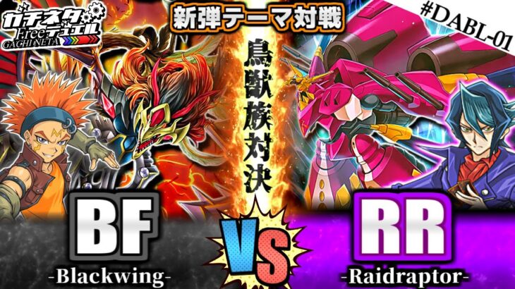 【#遊戯王】クロウvs黒咲！究極の鳥獣対決！『BF』vs『RR』新弾テーマ対戦【#ガチネタ】#DABL-01