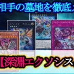 【遊戯王】墓地を封印する少女達と闇のドラゴンのコラボレーション！『深淵エクソシスター』を紹介します！【デッキレシピ】