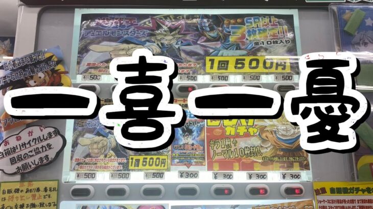 【遊戯王】自販機1列枯らしてテンションが狂うだけの動画