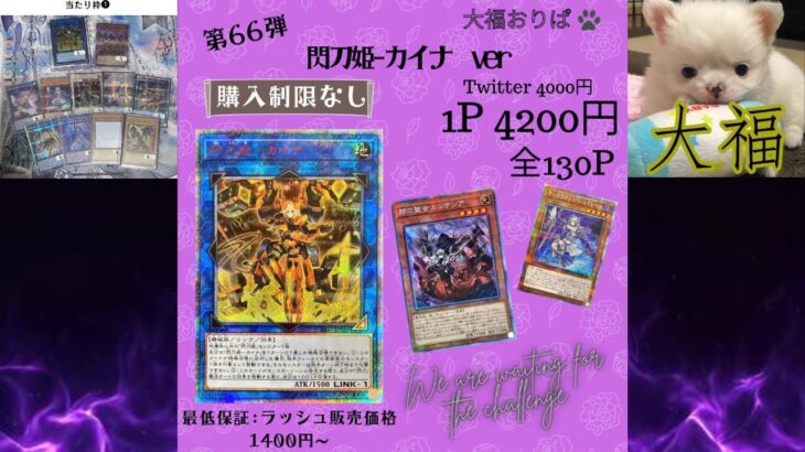 【遊戯王】大福おりぱさん！第66弾閃刀姫カイナverでｸﾘﾊﾞﾋﾞﾛﾝﾁｬﾝｽを狙え！・