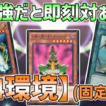 【遊戯王】【04環境】で遊んだら一方的に勝っていたw w【対戦】