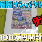 今年最後の大勝負！？1口1万総額100万円！？【ポケカ】