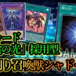 【遊戯王ADS】新環境のシャドール！新規カード『陰の光』採用型【召喚獣シャドール】！【デッキレシピ】