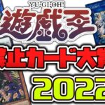 【遊戯王】 ありがとう、全ての英雄たちへ 『禁止カード大賞2022』 【ゆっくり解説】