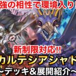 【遊戯王】最強の相性で環境入り⁉︎烙印カルテシアシャドール【デッキ&展開紹介】