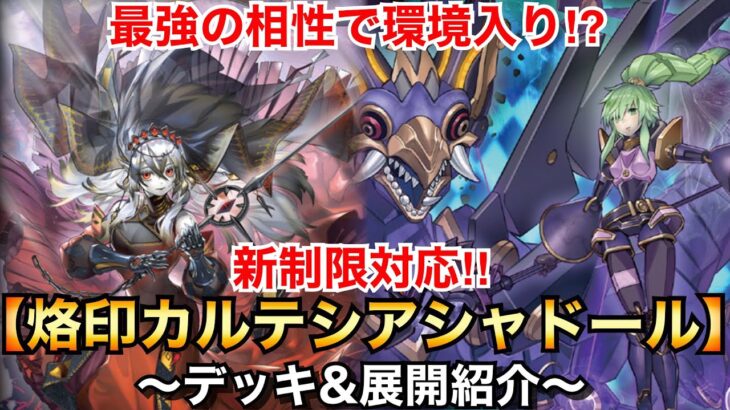 【遊戯王】最強の相性で環境入り⁉︎烙印カルテシアシャドール【デッキ&展開紹介】