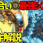 【#遊戯王】強すぎるｗ環境topのシンクロデッキ！新制限を生き残れるか!?『リンゴスプライト深淵』徹底解説＆デッキレシピ！！【#デュエダン】【ビーステッド】