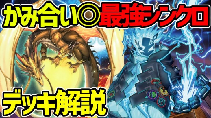 【#遊戯王】強すぎるｗ環境topのシンクロデッキ！新制限を生き残れるか!?『リンゴスプライト深淵』徹底解説＆デッキレシピ！！【#デュエダン】【ビーステッド】