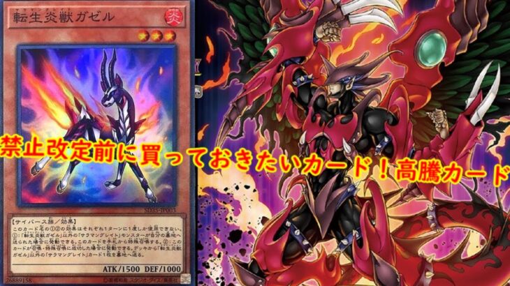 【遊戯王　高騰】禁止改定前に購入しておきたいカード！遊戯王最新高騰情報【　最新高騰情報　遊戯王最新情報　デュエリストネクサス　リミットレギュレーション　禁止改定　レアリティコレクション　】