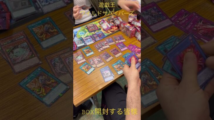 【Every Day Pack Opening Challenge】毎日パック開封チャレンジ　2023.4.2 遊戯王、ワイルドサバイバーズ①