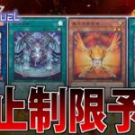 【禁止制限】世界ランカーが”本気の”リミットレギュレーション予想してみた【遊戯王MasterDuel】