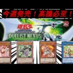 【遊戯王】新弾 デュエリストネクサスの可愛いオススメカードを紹介しちゃうよぉ