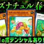 【遊戯王マスターデュエル】新規実装で環境クラスのパワーに！ティアラメンツにも勝てる「イシズナチュル春化精」【デッキ紹介・対戦】