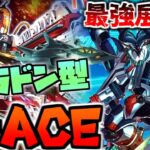 【#遊戯王】ラドン展開で最強盤面に！環境入りで話題の『R-ACE』対戦動画【Log29】