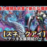 【遊戯王】強力展開＆妨害で新たな環境デッキか!?スネークアイ・ディアベルスター【デッキ＆展開紹介】