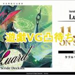 遊戯王やVG対戦配信(MDでもOK)