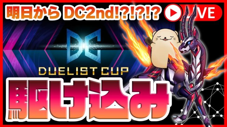 【遊戯王マスターデュエル】「転生炎獣」で駆け抜けるDC1st配信最終回🦦Lv17〜【サラマングレイト】