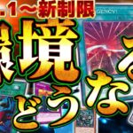 【遊戯王OCG】新制限で環境デッキへの影響がどうなるか語る世界4位【シーアーチャー切り抜き/遊戯王/マスターデュエル】