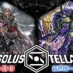 【SolusStella】混沌の烙印 VS 新世壊-世界輪廻- 【遊戯王OCGデュエル動画】