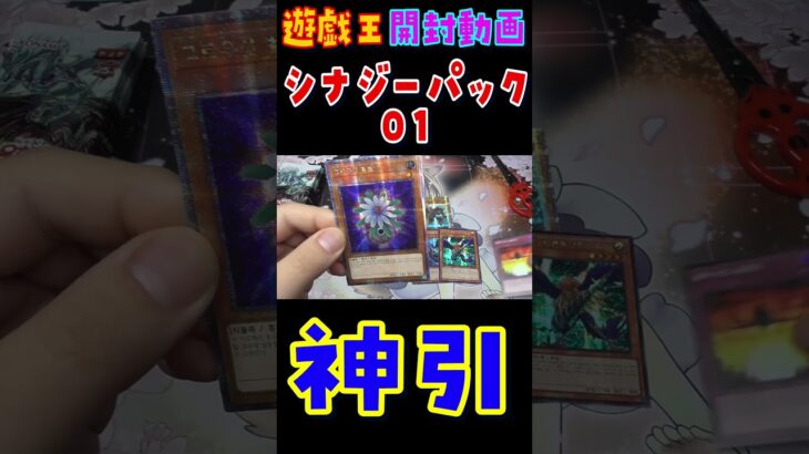 神引き！？シナジーパック01：シンクロアクセラレーション #遊戯王 #yugioh #開封動画