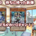 【遊戯王】新弾発売日のデュエリストの1日#猫ミーム#猫マニ