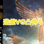 新制限新ルール適応遊戯王VG対戦配信(MDでもOK)