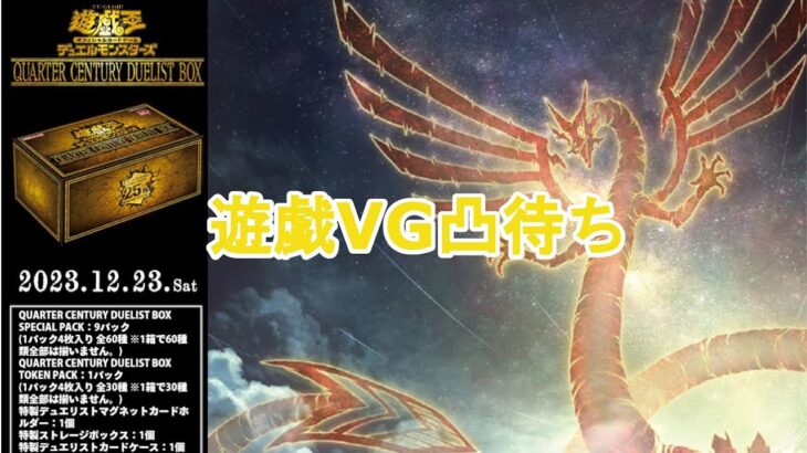 新制限新ルール適応遊戯王VG対戦配信(MDでもOK)