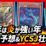 【遊戯王】みんなはYCSJ抽選通った？大会に向けて禁止制限予想したり修行したりする会【#生CK】