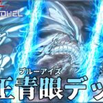 【対戦】純ブルーアイズデッキ紹介＆実践対戦動画【遊戯王マスターデュエル-Yu-Gi-Oh!  Master Duel】