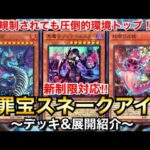 【遊戯王】規制されても圧倒的環境トップ！新制限対応罪宝スネークアイ【デッキ＆展開紹介】