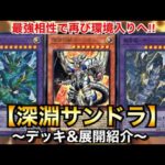 【遊戯王】最強の相性で再び環境入りへ！深淵サンドラ【ビーステッドサンドラ】【デッキ＆展開紹介】