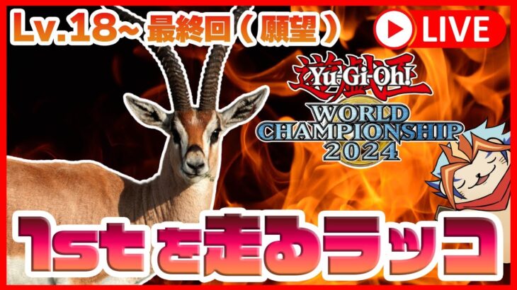 【遊戯王マスターデュエル】Lv18~WCS予選1stを「転生炎獣」で走るラッコ🦦最終回(願望)【サラマングレイト】