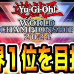 【世界１位を目指す配信】WCS2024！『DC世界100位』による『ホルス』配信。もう『過去の栄光』とは言わせない。６日目。6月16日【遊戯王マスターデュエル】【MasterDuel】