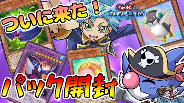 【遊戯王デュエルリンクス】老兵のデストーイパック開封とランクマ【うらしまリンクス】