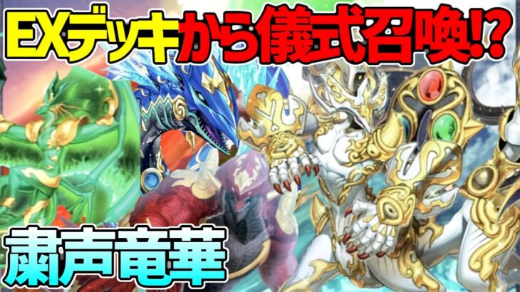 【#遊戯王】レベル10出しまくり！パワーと永続魔法で勝利に導く！『粛声竜華』対戦動画！【#デュエダン】