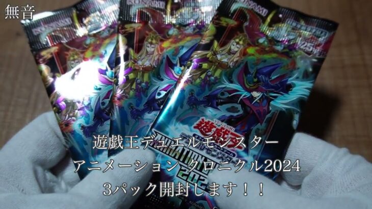 【遊戯王デュエルモンスターズ】夏休み応援！毎日パック開封チャレンジ！2024年8月23日投稿！果たして続くのか？気になる人は【チャンネル登録】で動画を追いかけよう！！【無音】