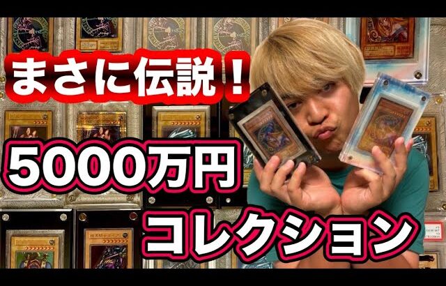 【遊戯王】 総額5000万円以上！？全財産を注ぎ込んだ最強のコレクションを公開します！！