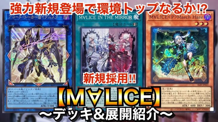 【遊戯王】強力新規登場で環境トップなるか⁉︎新規採用M∀LICE【マリス】【デッキ&展開紹介】