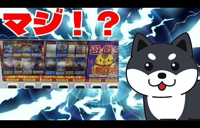 【#遊戯王】俺はいつでも全力でガチャ＆オリパを楽しむのだ！